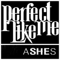 Perfect Like Me's avatar cover