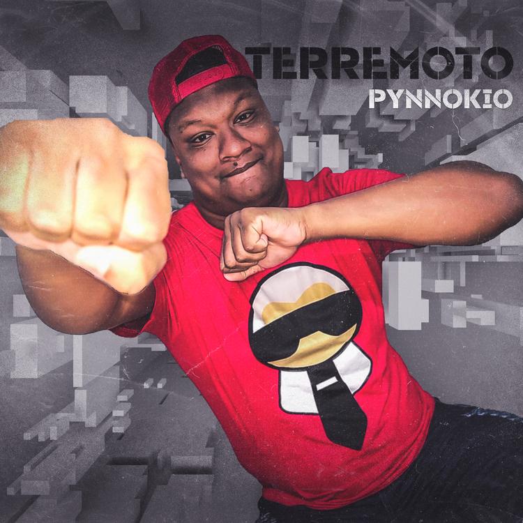 Pynnokio's avatar image