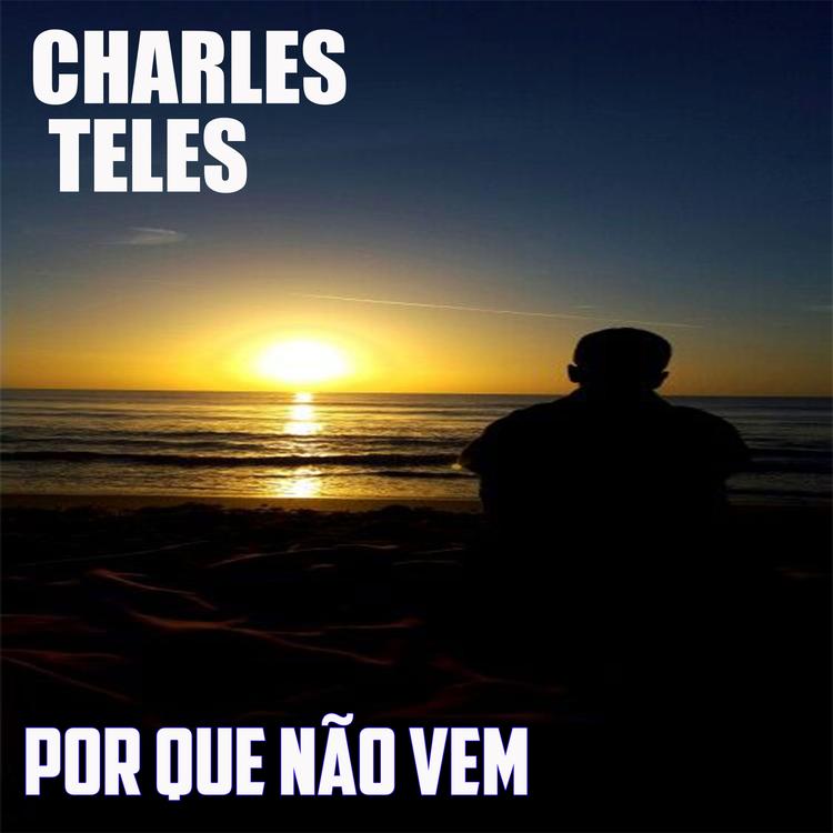 charles teles's avatar image