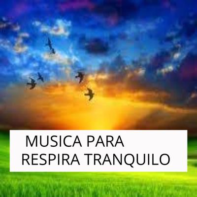 Musica Para Respirar Tranquilo's cover