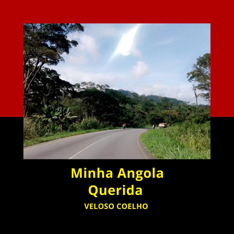 Veloso Coelho's avatar image