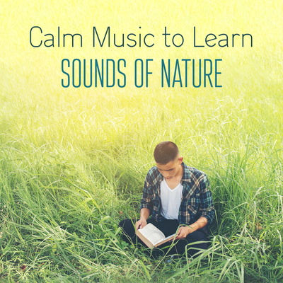 Calm Music to Learn with the Sounds of Nature. Study with Instrumental Music's cover