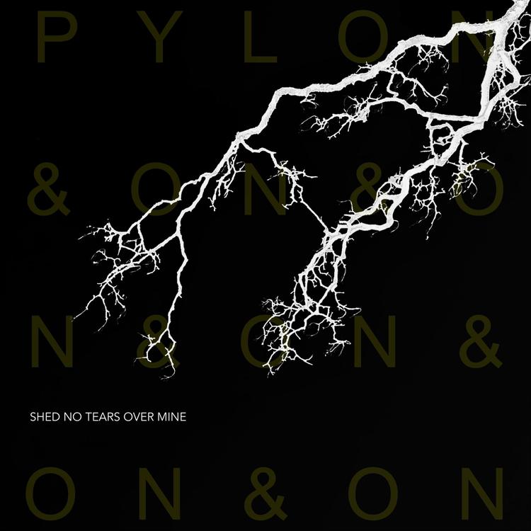 Pylon&on&on's avatar image