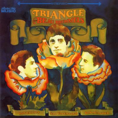 Magic Hollow By The Beau Brummels's cover