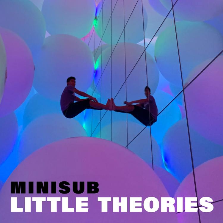 Little Theories's avatar image
