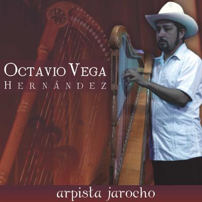 El zapateado By Octavio Vega Hernández's cover