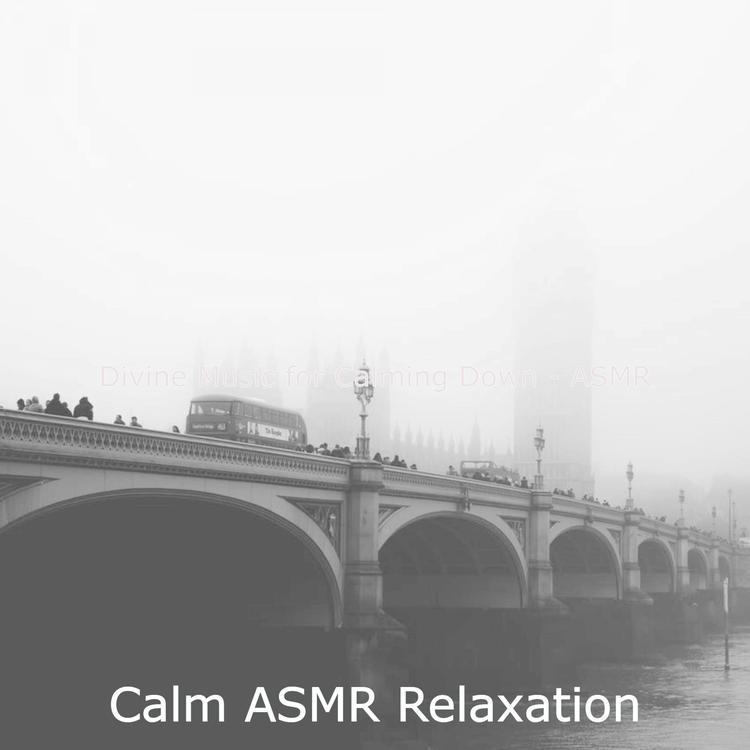 Calm ASMR Relaxation's avatar image