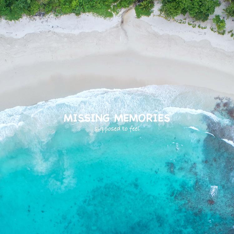 Missing Memories's avatar image