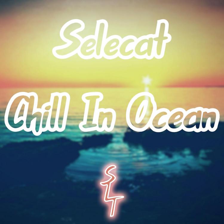 Selecat's avatar image