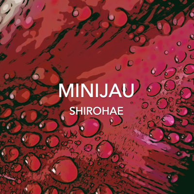 Shirohae (From "Naruto Shippuden") (Instrumental) By Minijau's cover