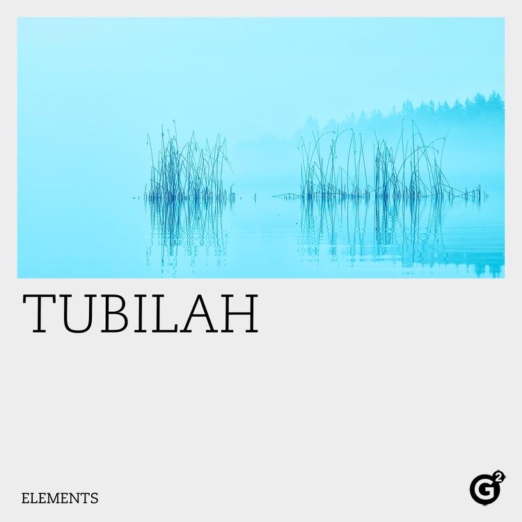 Tubilah's avatar image