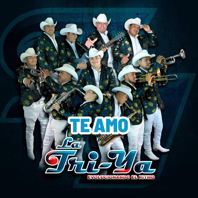 Grupo La Tri-ya's avatar image