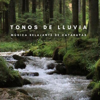 Tonos De Lluvia: Música Relajante De Cataratas's cover