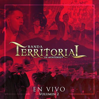 Son del Toro Viejo (En Vivo)'s cover
