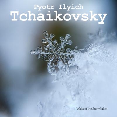 Waltz of the Snowflakes By ‎Pyotr Ilyich Tchaikovsky's cover