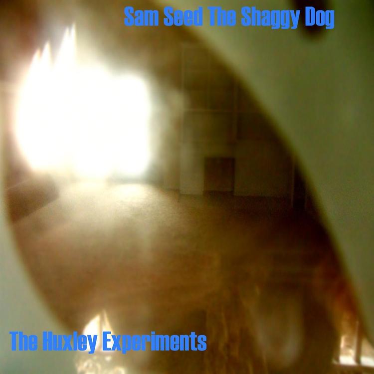 Sam Seed the Shaggy Dog's avatar image