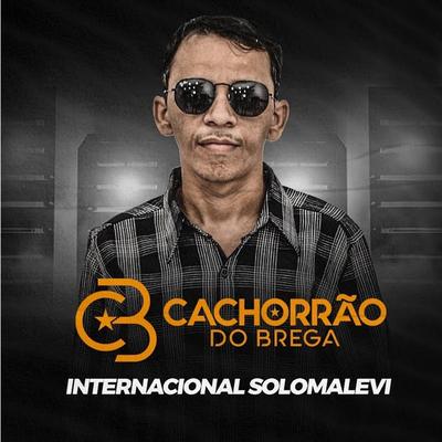 Solomalevi (Ao Vivo) By Cachorrão do Brega's cover