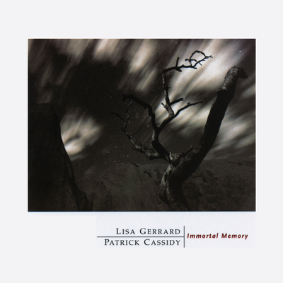 Elegy By Lisa Gerrard, Patrick Cassidy's cover