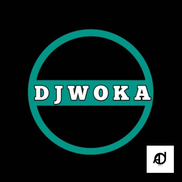 Dj Woka's avatar image