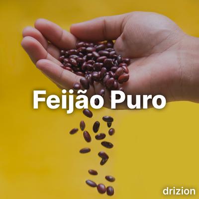 Feijão Puro (feat. Lula) (feat. Lula) By Drizion, Lula's cover