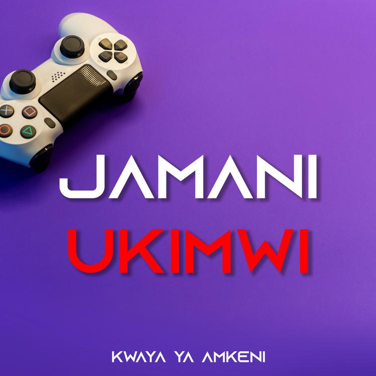 Kwaya Ya Amkeni's avatar image