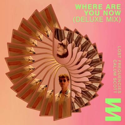 Where Are You Now  (Deluxe Mix)'s cover