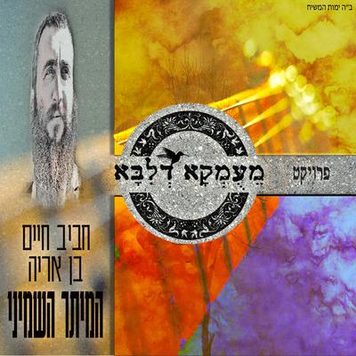 המיתר השמיני's cover