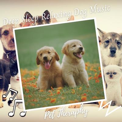 Pet Therapy: Deep Sleep Relaxing Dog Music's cover