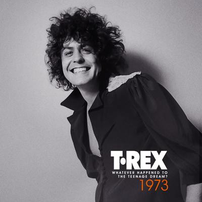 20th Century Boy (Bonus 45 Cut) By T. Rex's cover