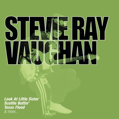Change It By Stevie Ray Vaughan's cover