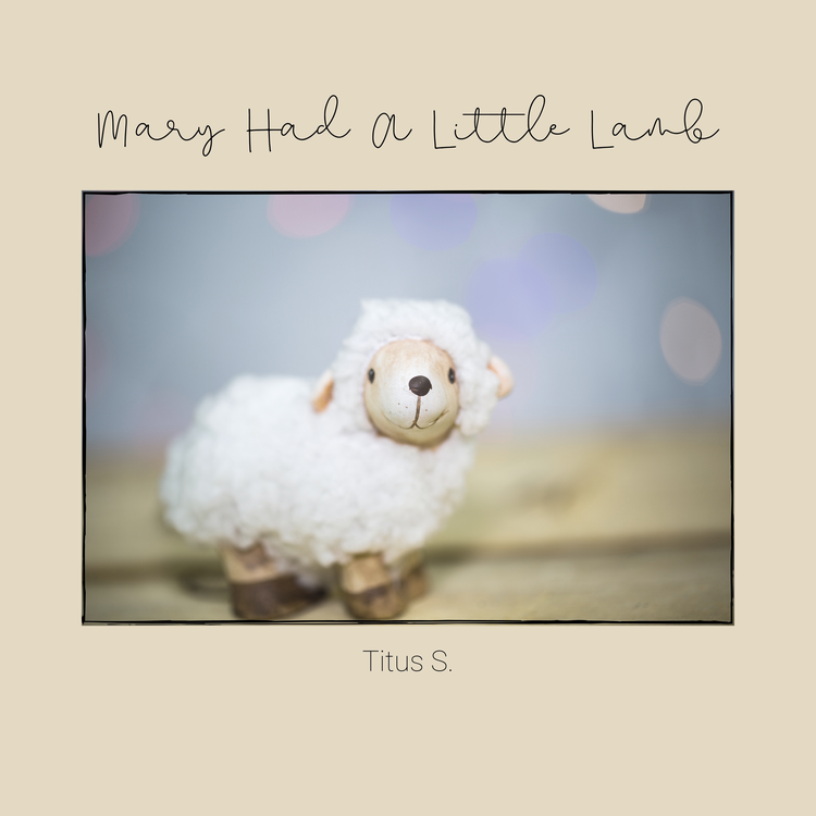 Mary Had a Little Lamb's avatar image