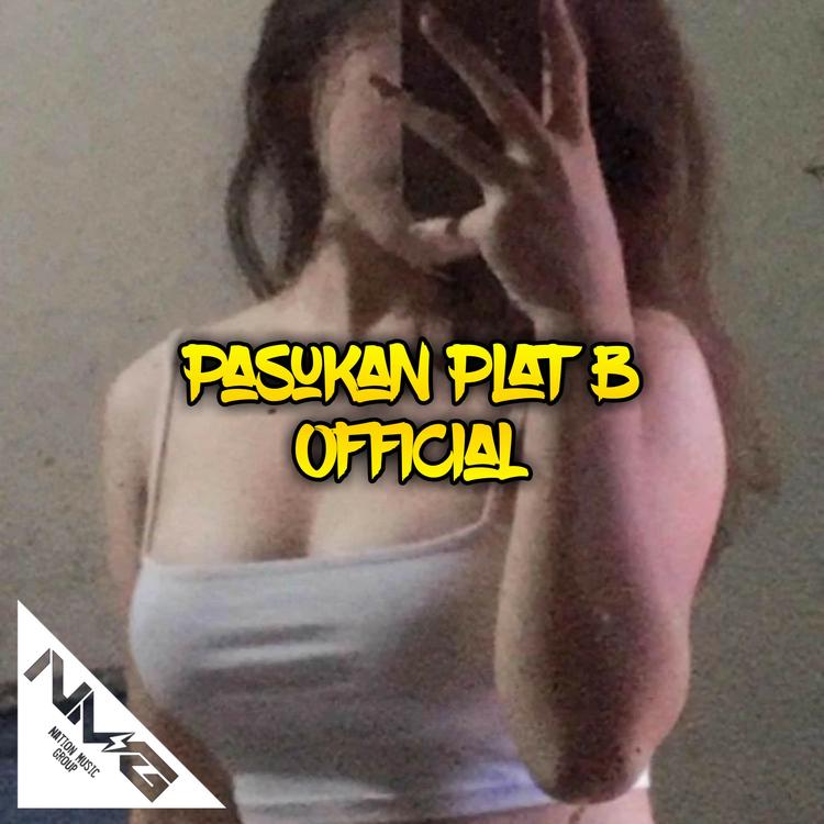 Pasukan Plat B's avatar image