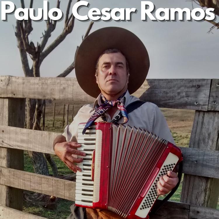 Paulo Cesar Ramos's avatar image