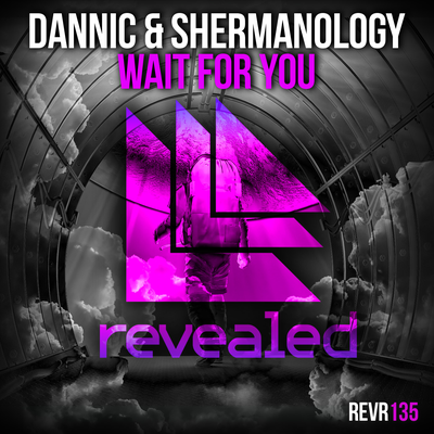 Wait For You (Extended Mix) By Dannic, Shermanology's cover