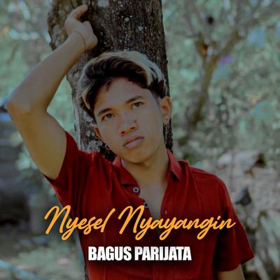 Nyesel Nyayangin's cover