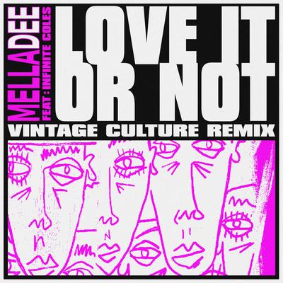 Love It or Not (feat. Infinite Coles) (feat. Infinite Coles) (Vintage Culture Remix)'s cover