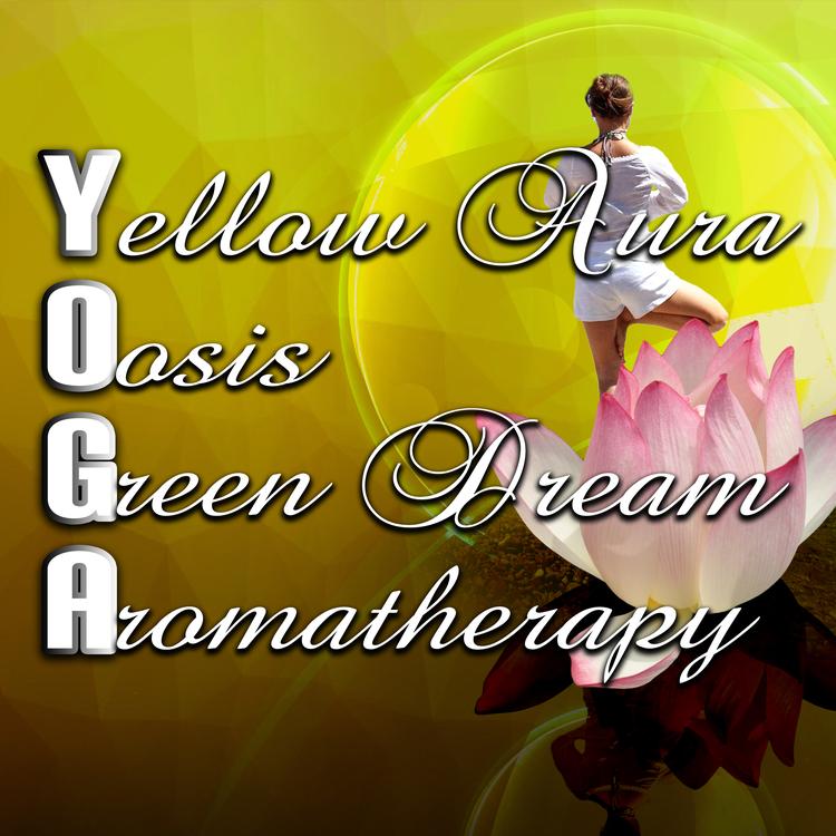 Daily Yoga Music Paradise's avatar image