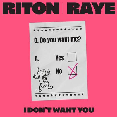 I Don't Want You By RAYE, Riton's cover