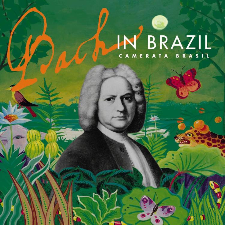 Camerata Brasil's avatar image