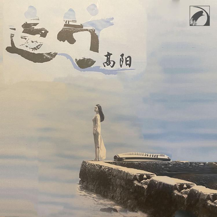 高阳's avatar image