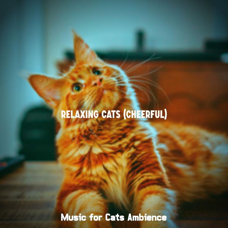 Music for Cats Ambience's avatar image