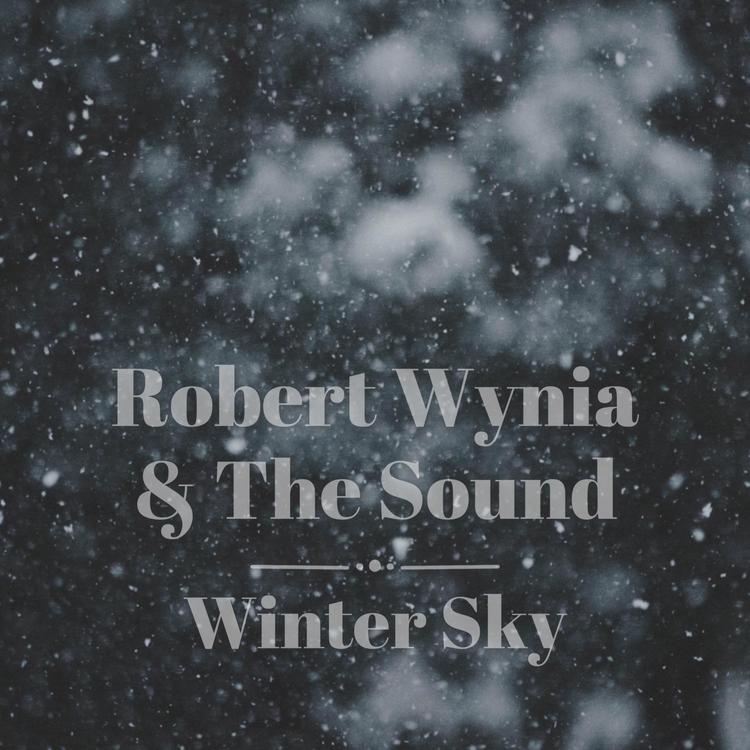 Robert Wynia's avatar image