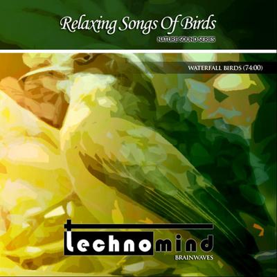 Relaxing Sound of Birds (Nature Sounds) By Technomind's cover