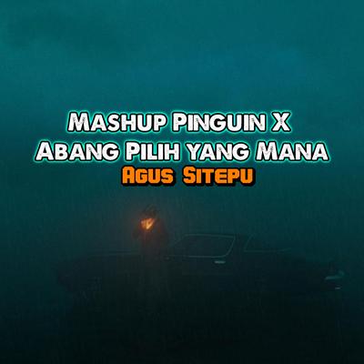 Mashup Pinguin / Abang Pilih Yang Mana's cover