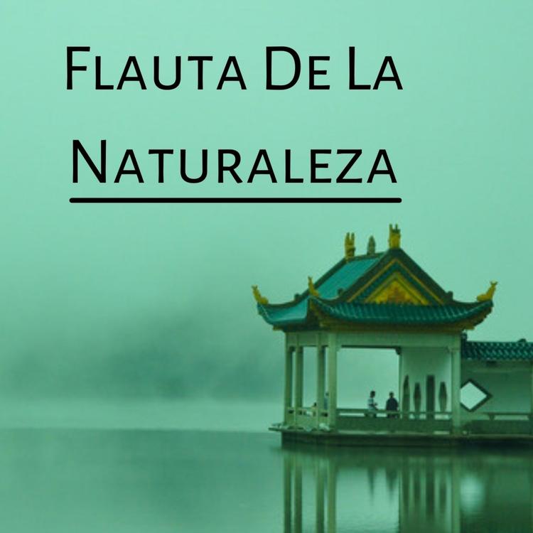 Flauta Para El Ambiente's avatar image