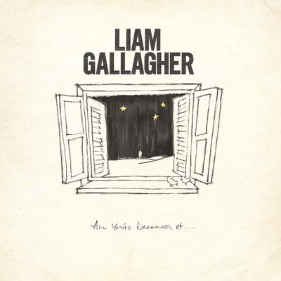 All You're Dreaming Of By Liam Gallagher's cover
