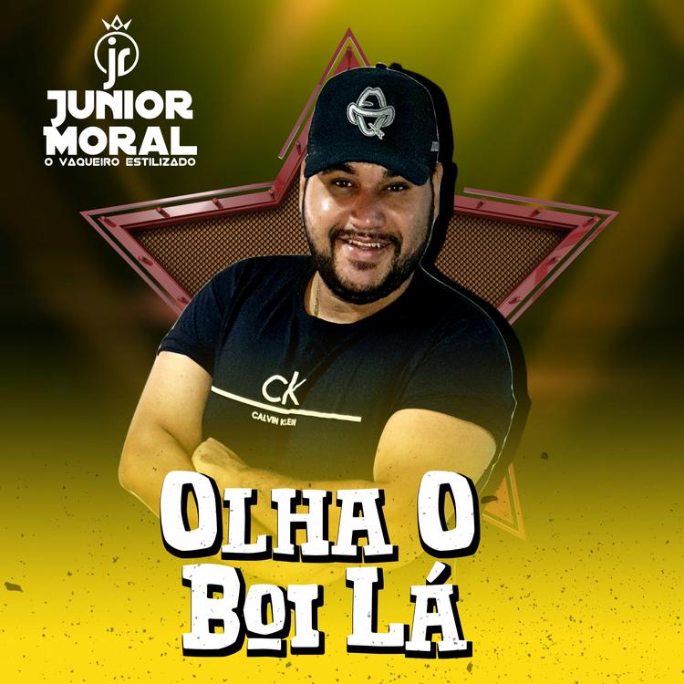 Junior Moral o vaqueiro estilizado's avatar image