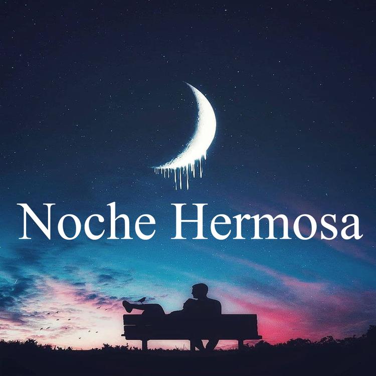 Noche Hermosa's avatar image