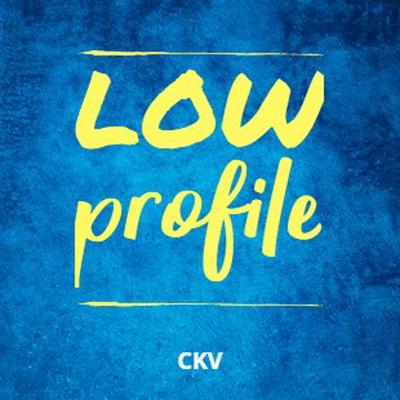 Low Profile (Instrumental) By Ckv's cover