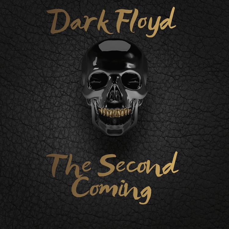 Dark Floyd's avatar image